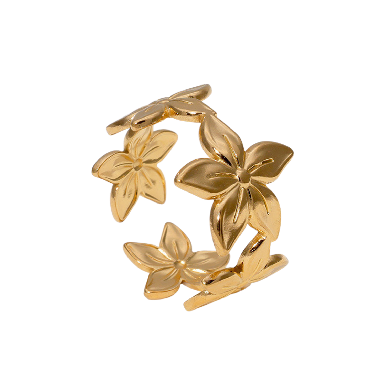 Bague Nalaya